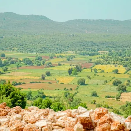 Kapari Vilă