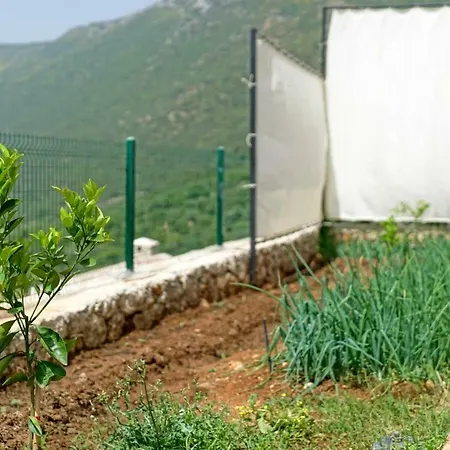 Kapari Willa